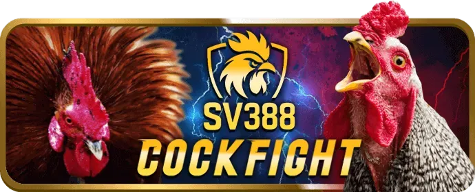 Game thủ đang tập trung chơi e-sports, minh họa cho cá cược e-sports tại mig8 info